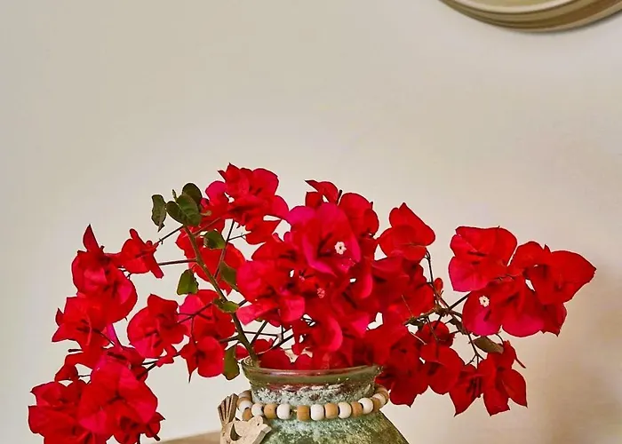 Barbara's Appartement *